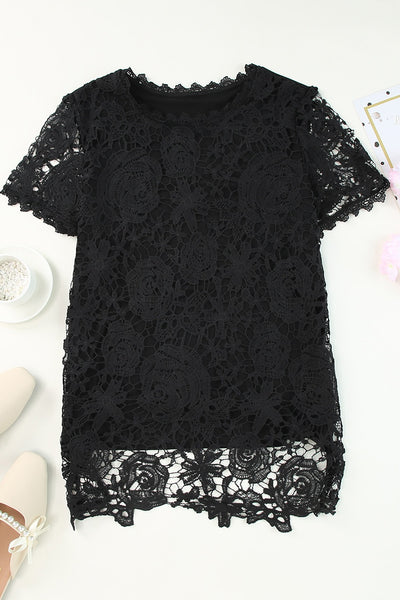 Lace Overlay Short Sleeve Top